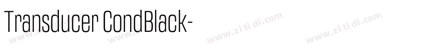 Transducer CondBlack字体转换